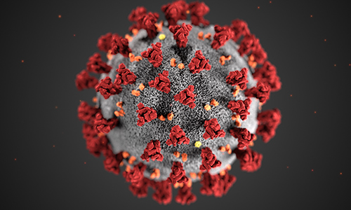 Image of the Covid-19 virus