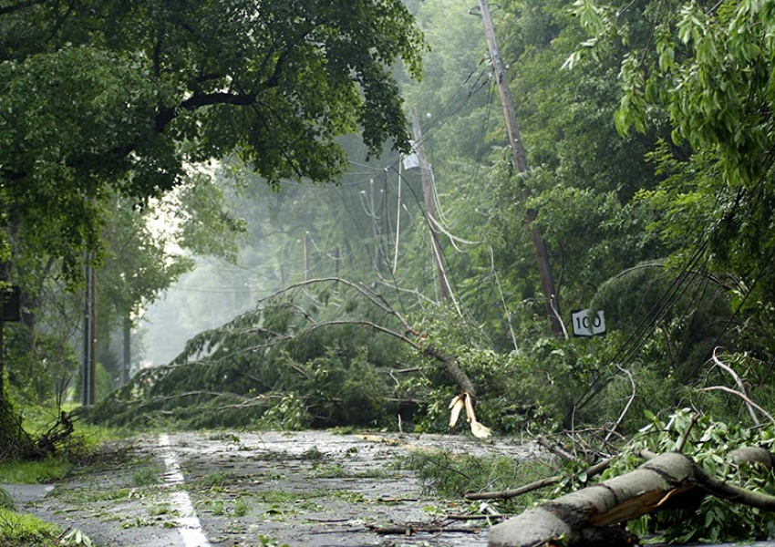 hurricane damage