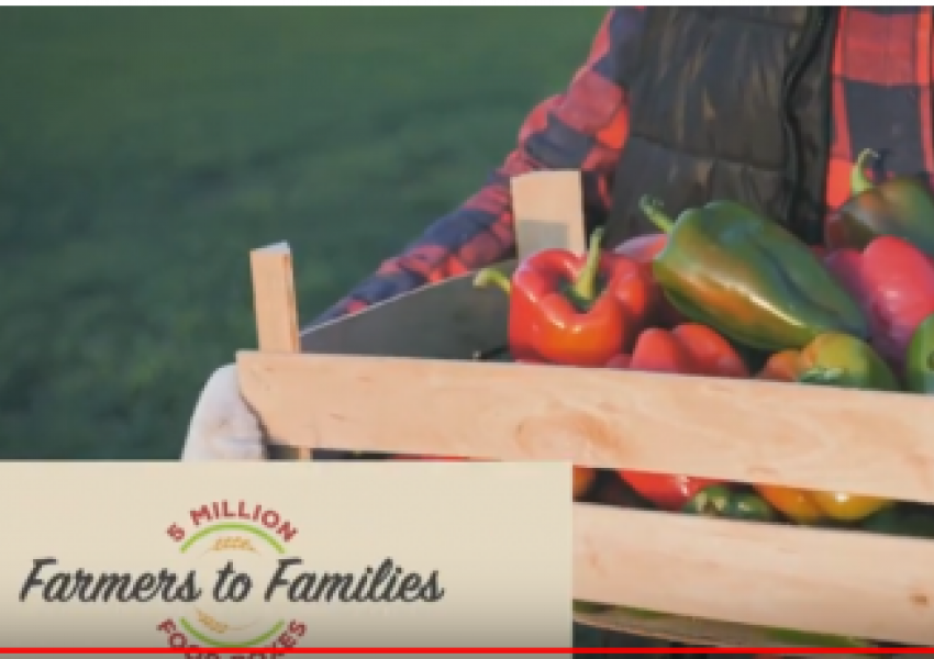 USDA Farmers to Families Food Box Program 
