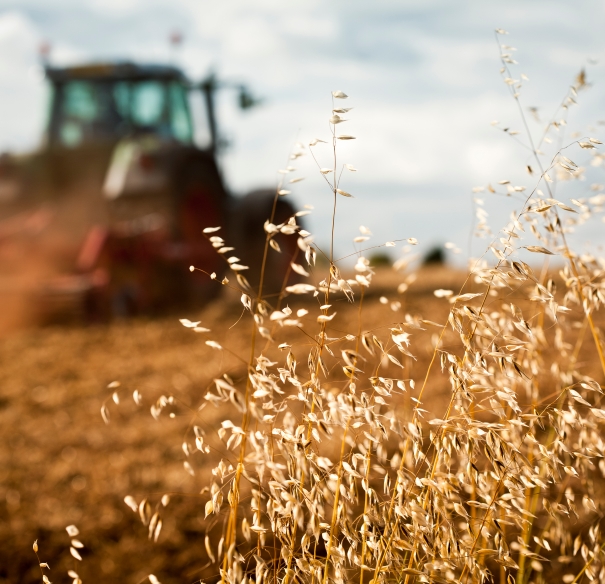 Grain on a farm with a tractor behind it.