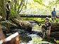 researchers are at Longfellow Creek, an urban creek in the Seattle area