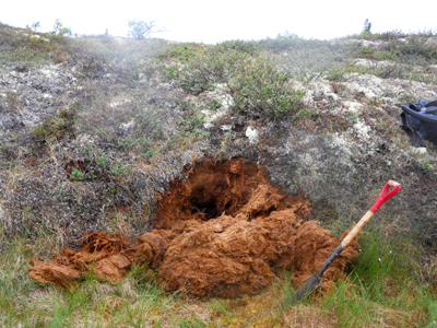 Small hole in the ground with shovel next to it