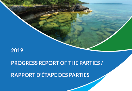 Rapport d’étape des Parties de 2019