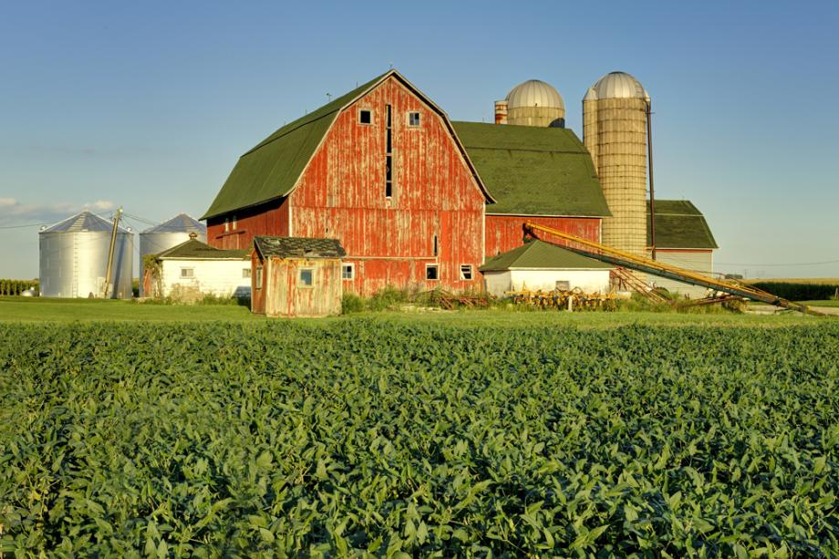 Bean field in front of a red barn and silos just west of Peotone, Illinois 