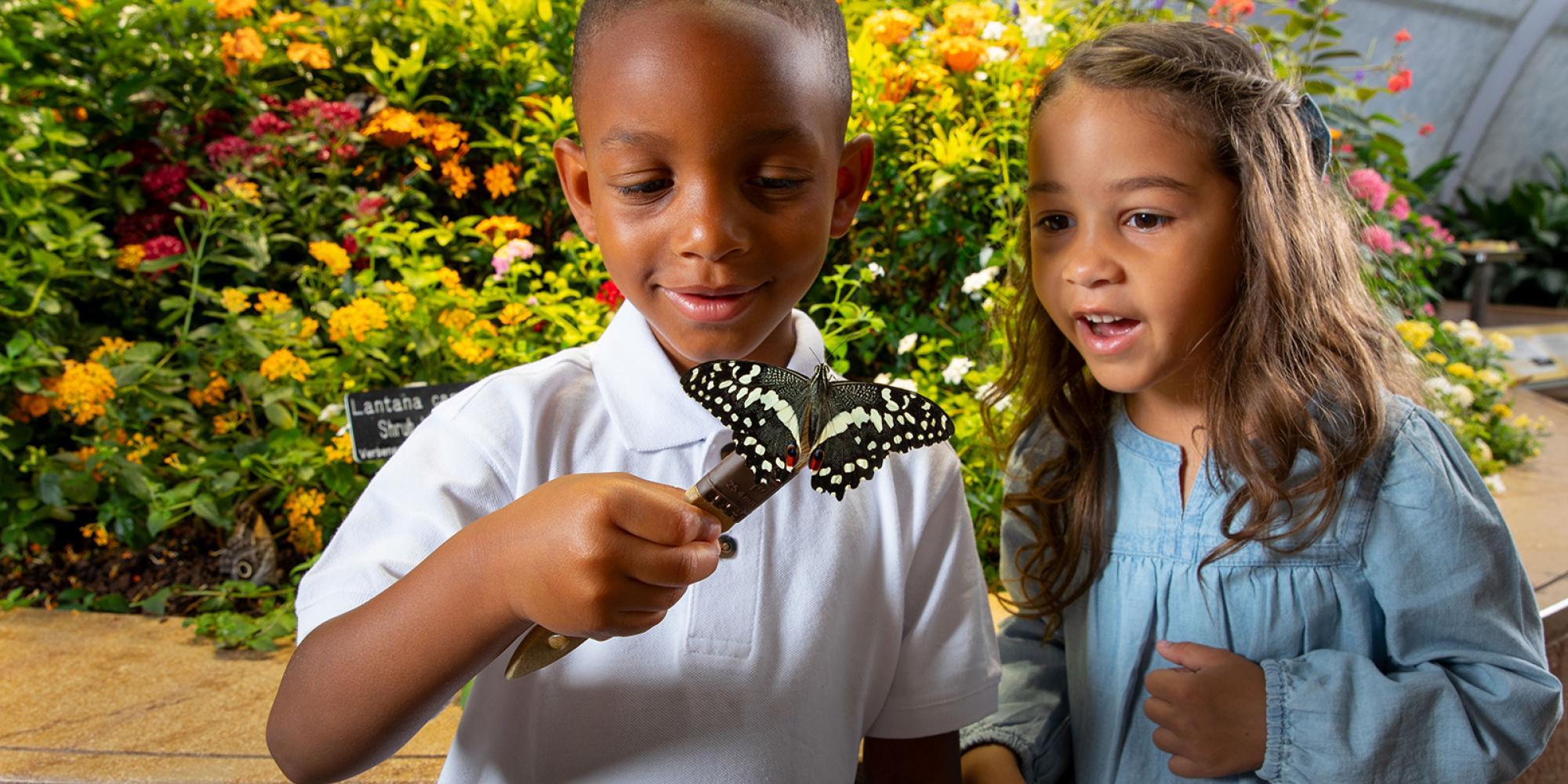A boy smiles as he looks at a butterfly sitting on a paint brush he is holding, while a girl next to him watches in wonder.