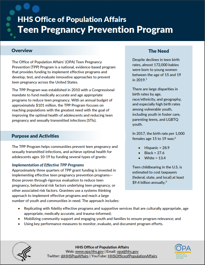 First page of Teen Pregnancy Prevention program one-pager.