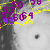 GPS Meteorological Data (SuomiNet)