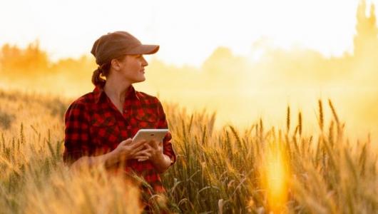 Female stand in field holding tablet looking into distance