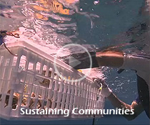 Sustaining Communities