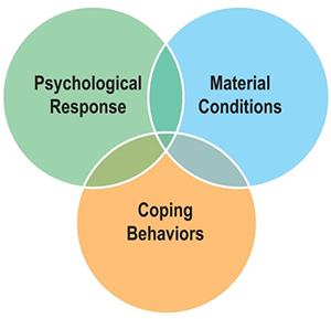 The figure shows the three domains of financial hardship - material conditions, psychological responses, and coping behaviors.