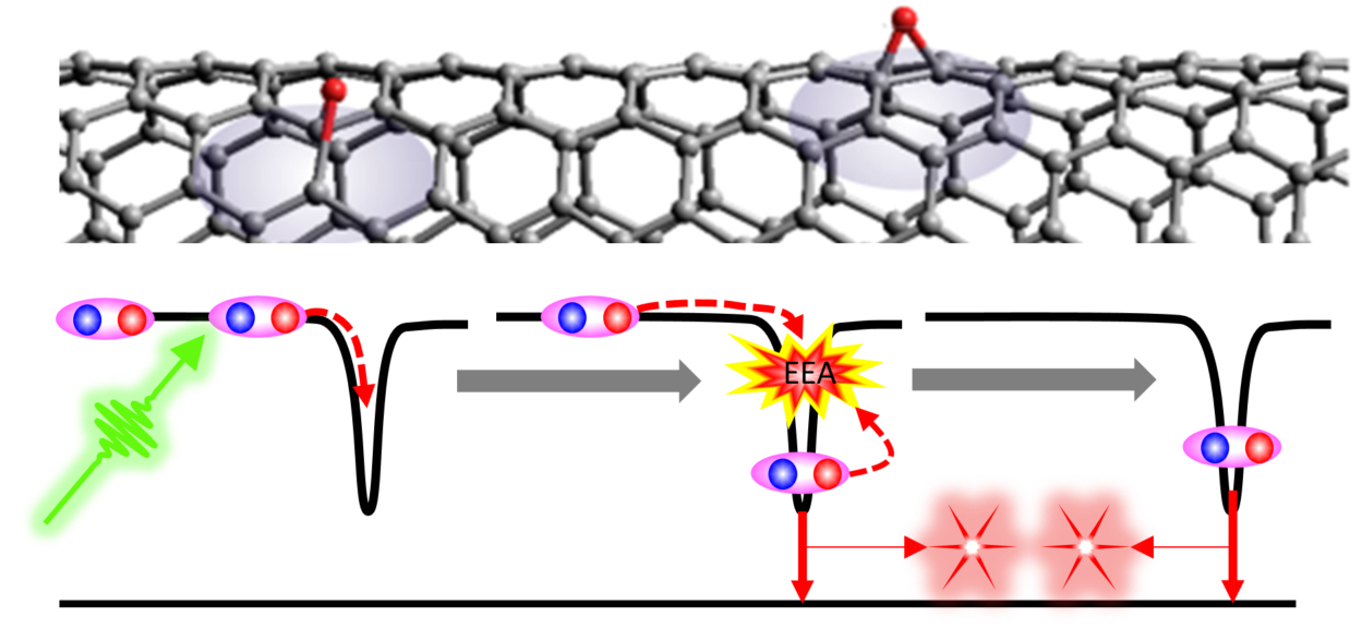 In a carbon nanotube (top, gray cylinder), the capture of a photon (green arrow) generates two excitons (blue and red spheres bound together) at oxygen doping sites (top, red balls). The excitons recombine and emit photon pairs (bottom, pink stars).