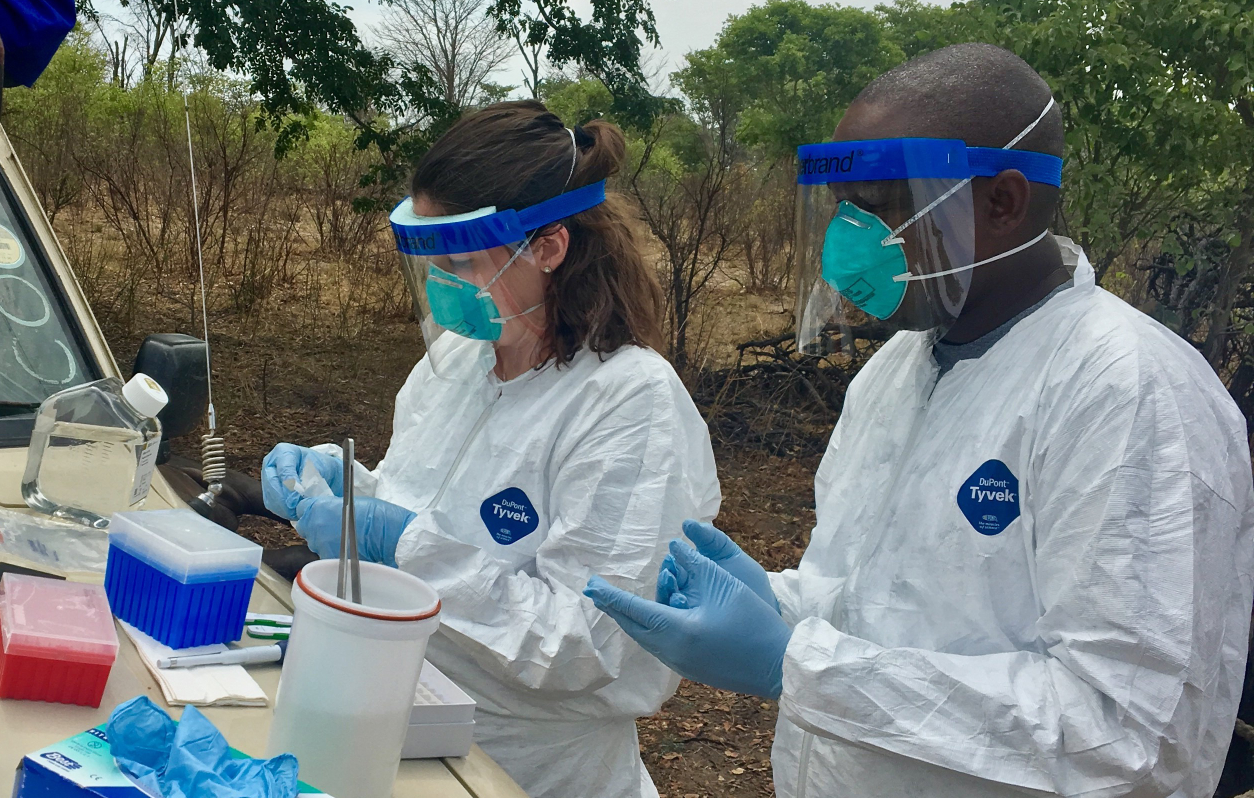 Technicians testing samples