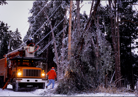 Worker in winter