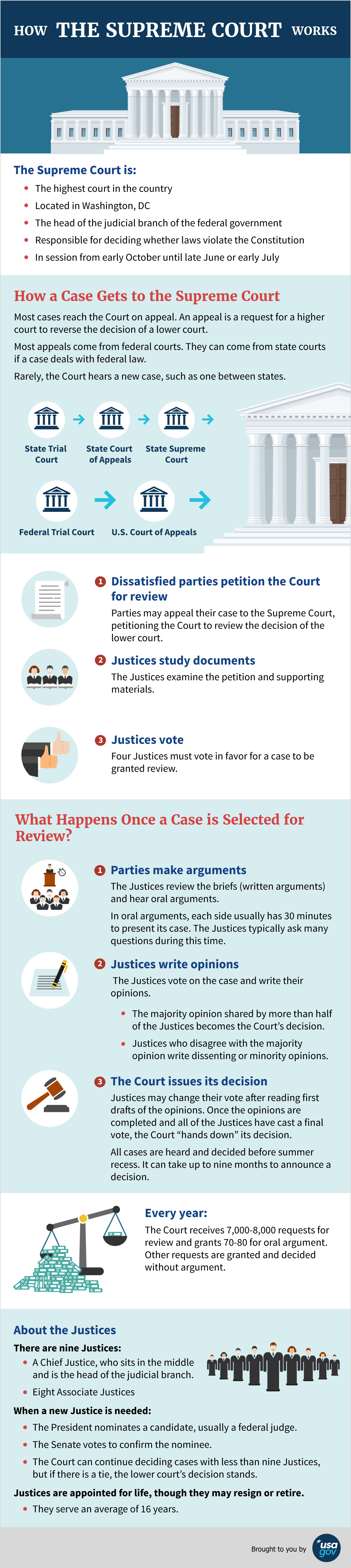 How the Supreme Court Works infographic. See description below.
