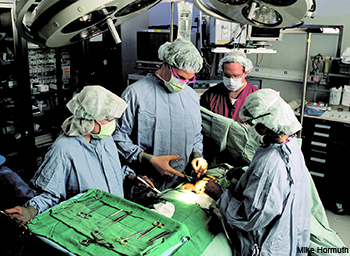 Surgical team performing an operation