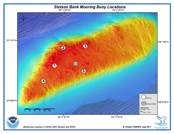 Bathymetric map showing mooring buoy locations at Stetson Bank.  Depth is indicated by color.  Buoys are marked by numbered octagons.