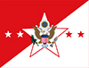 CSA Office Flag