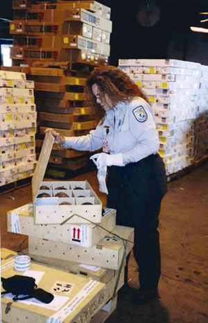 A wildlife inspector opens a commercial shipment of live turtles at Miami International Airport. Credit: USFWS