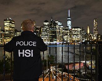 HSI Agent overlooking city sky line