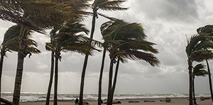 CDC: Preparing for Hurricanes During the COVID-19 Pandemic