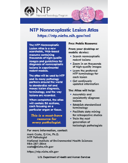 NTP Nonneoplastic Lesion Atlas