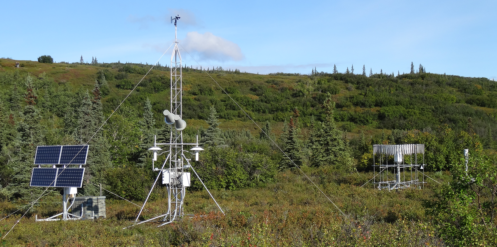 Site in Denali National Park, Alaska