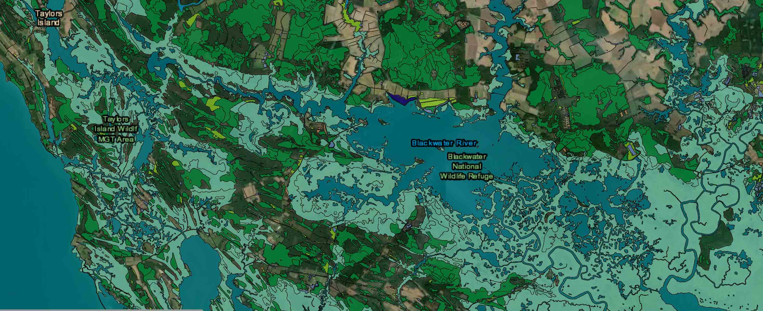 Area map indicating different wetland types at Blackwater National Wildlife Refuge.