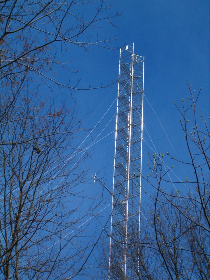 SEBN site at Chestnut Ridge Tennessee