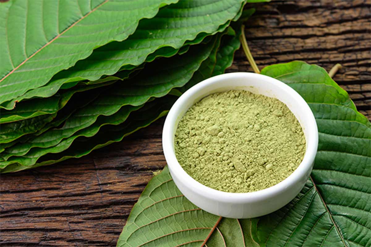 Kratom leaves and powder