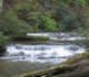 [photo:] stream in forest at high flow, showing the clean water that is a hallmark of forested watersheds