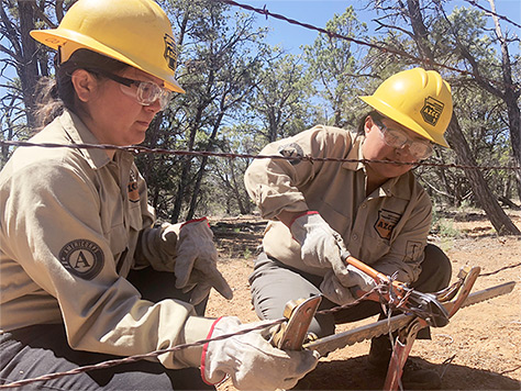 2 Arizona Conservation Corps members building a fence.