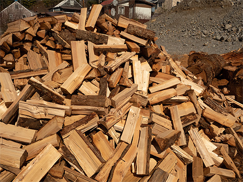 Logs of forest thinning byproduct that can be used as fuel in the biomass system.