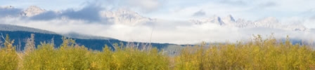 A grassy field with snow capped mountains in the background