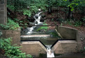 Photo: Weir on Marcell Experimental Forest