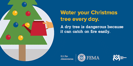social card message: water your Christmas tree every day