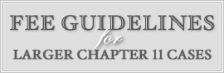 Fee Guidelines for Larger Chapter II Cases