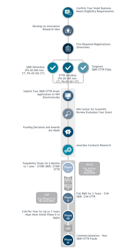 SBIR infographic