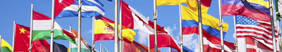 Picture of a collection of flags from various countries.  