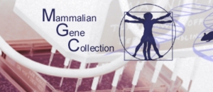 NIH Mammalian Gene Collection