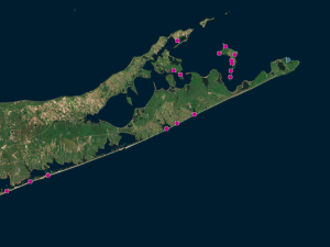 Screen capture from the Beach and Tidal Inlet Habitat Inventories