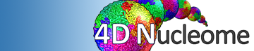 4D Nucleome