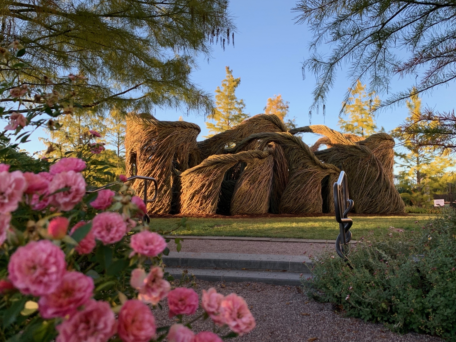 Sculpture woven from plants at U.S. Botanic Garden