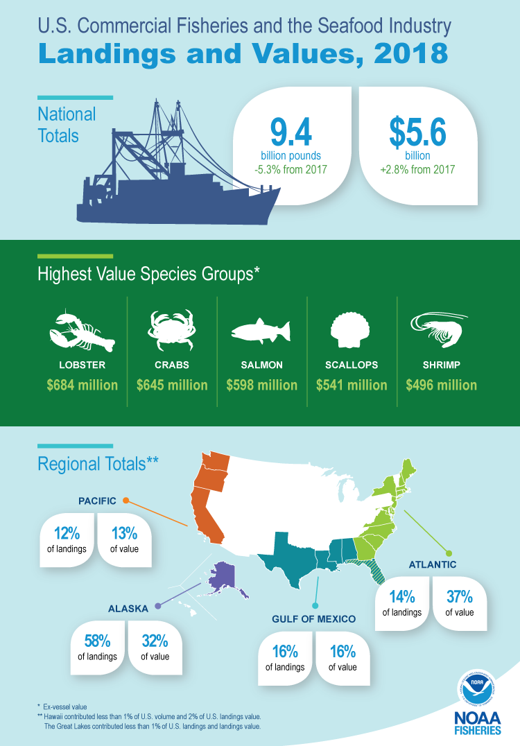Infographic highlighting 2018 landings and values for U.S. commercial fisheries