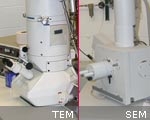 Transmission Electron Microscope and Scanning Electron Microscopes