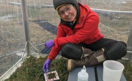 Ecosystem Ecologist Verity Salmon captures and analyzes field data from sites in in Alaska and Minnesota to inform earth system models that are being used to predict environmental change.