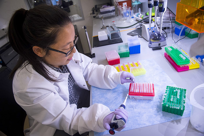 Graduate student Ruby Lam shows off her pipetting skills at the bench. 