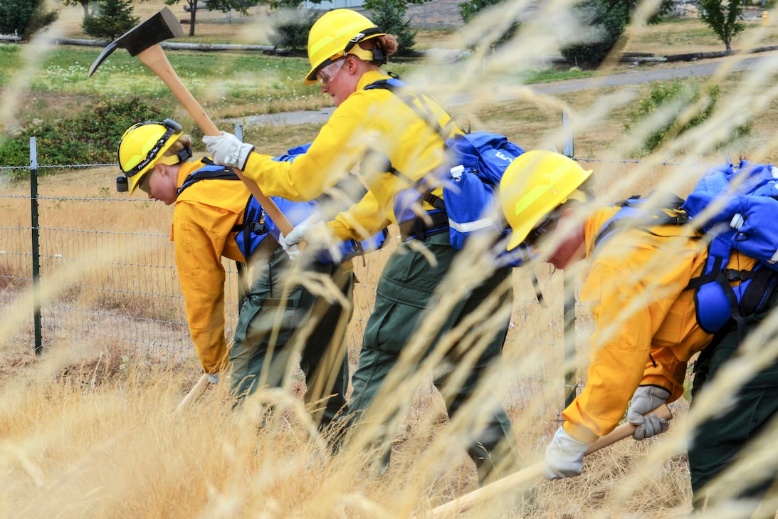 Three guardsmen in yellow protective gear use ax-type tools in a wheat field-type area.