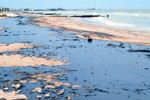 Oiled beach north of Blind Pass, Treasure Island, Florida on August 15, 1993.