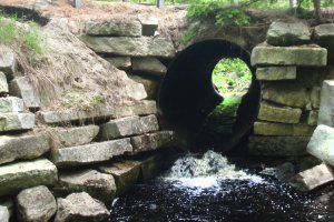 Water runs through a culvert under a road, but it's too high for fish to pass through and needs to be replaced.