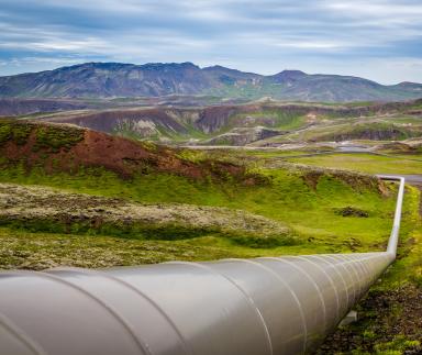 A pipeline in the woods.